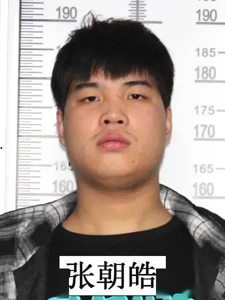 安康最新爆料视频,惊人真相曝光！